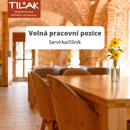 práce Servírka číšník